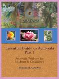 Essential Guide to Ayurveda book cover